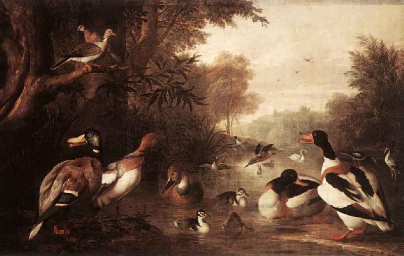 Landscape with Ducks